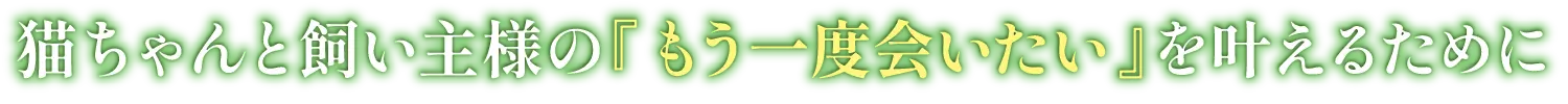 猫ちゃんと飼い主様のもう一度会いたいを叶えるために