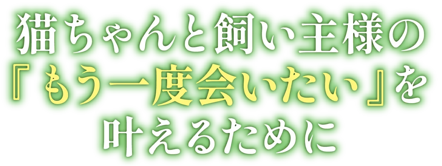 猫ちゃんと飼い主様のもう一度会いたいを叶えるために
