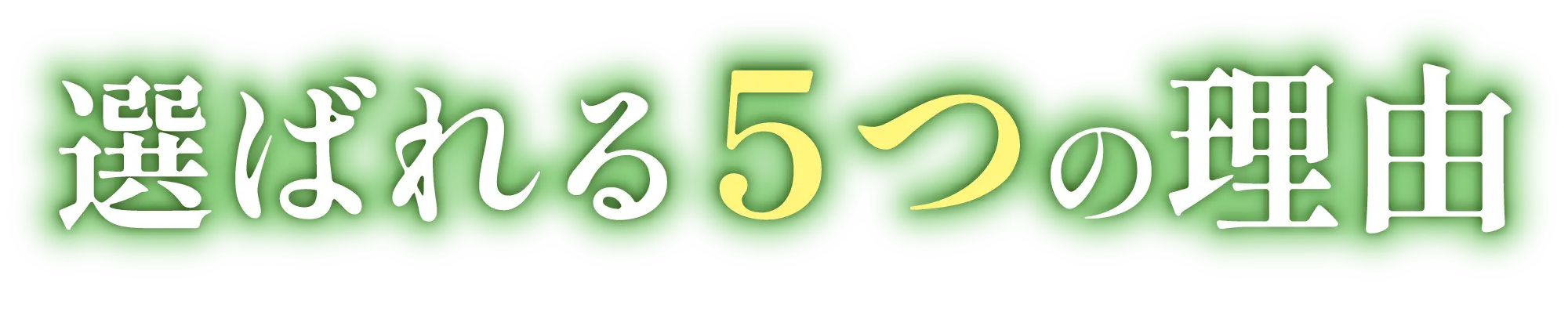 選ばれる５つの理由