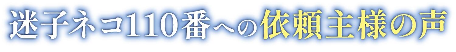 迷子ネコ110番への依頼主様の声
