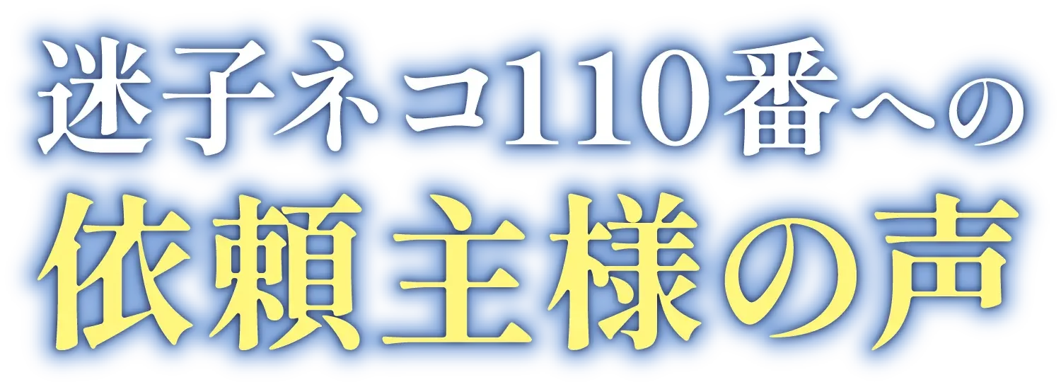 迷子ネコ110番への依頼主様の声
